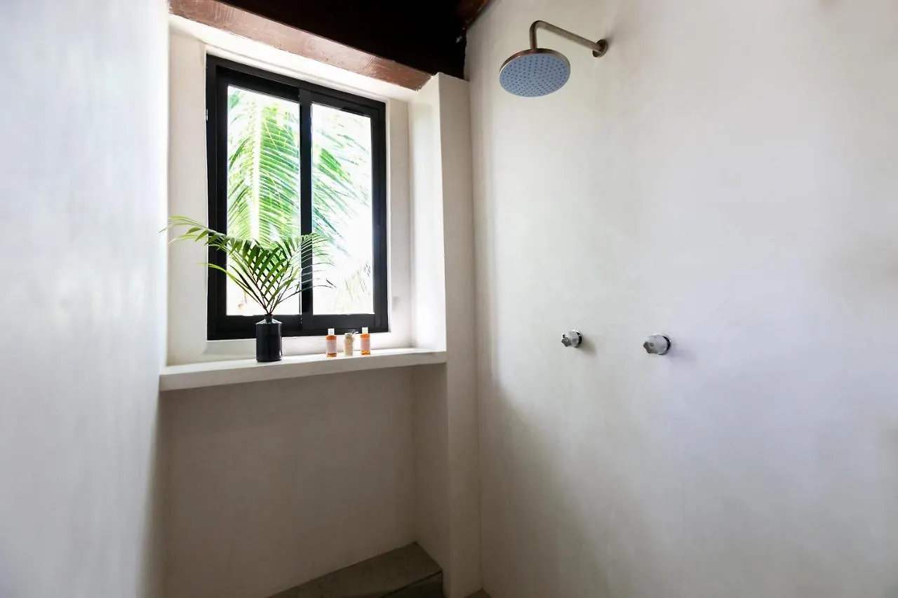 Hotel Mohave Jungle Rooms Tulum